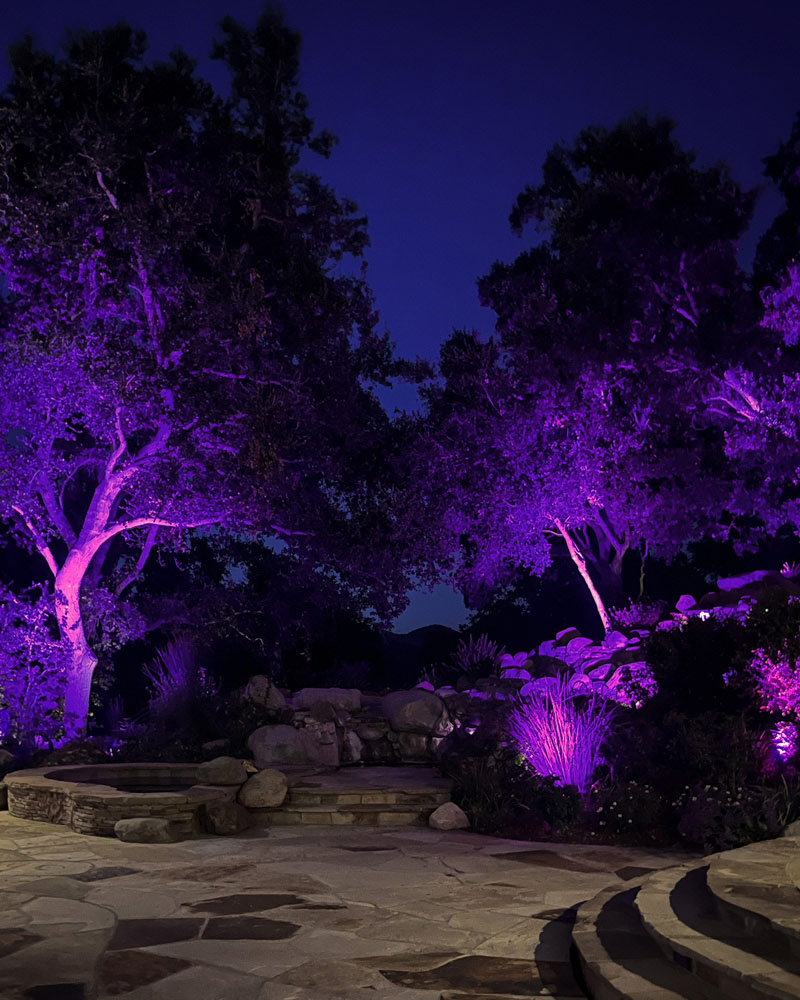 Vista Residential Chroma Connect fixtures illuminate landscaping in a vivid purple hue